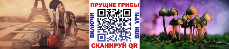 МЕГА рабочий сайт  Высоцк  Псилоцибиновые грибы Cubensis  купить наркотик 